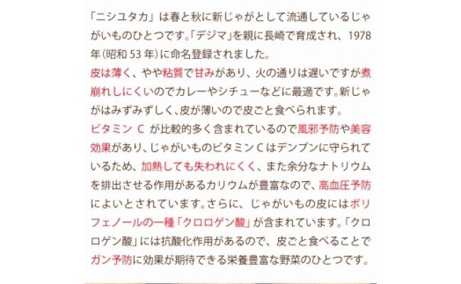 【先行受付】飛子の馬鈴薯 5kg （ 秋じゃが ）[長崎県農産品流通合同会社 長崎県 雲仙市 item0092] 野菜 じゃがいも ジャガイモ 5キロ 期間限定