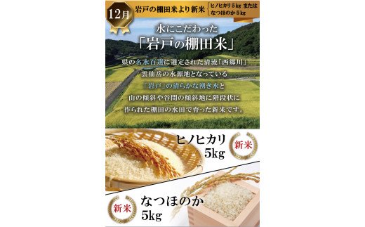 【6回 定期便 】四季を感じる 雲仙ぜいたく定期便 [長崎県農産品流通 長崎県 雲仙市 item1551] 定期 野菜 いちご とうもろこし なし 豚肉 ブロック 米 果物 フルーツ 肉