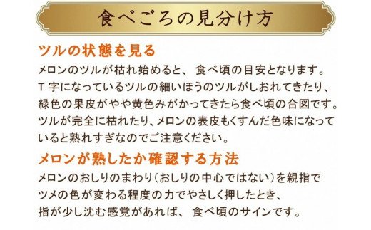 【先行受付】【メロンの王様】アールスメロン 2玉（3.5キロ以上） / 長崎県農産品流通合同会社 / 長崎県 雲仙市 [item0085] / 野菜 果物 フルーツ メロン 期間限定