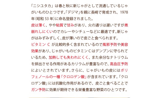 【期間限定発送】 じゃがいも 飛子の馬鈴薯 5kg 春じゃが [長崎県農産品流通 長崎県 雲仙市 item1541] ジャガイモ 春じゃがいも 5キロ 野菜 季節限定