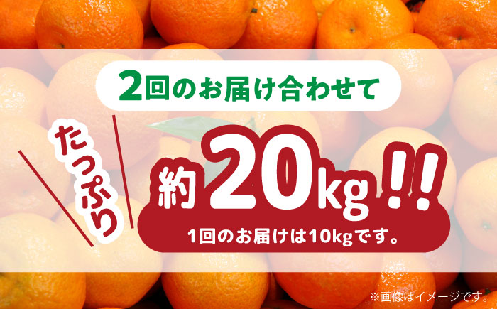 【2024年12月〜発送】【2回定期便】高糖度温州みかん約10kg （計約20kg）/ みかん 定期便 ミカン 蜜柑 長崎県産みかん 糖度 果物 くだもの 果物定期便 フルーツ ふるーつ フルーツ定期便 旬 家庭用 10kg / 南島原市 / 南島原果物屋 [SCV002]