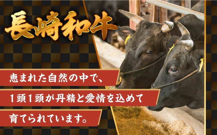 【3回定期便】ヒレステーキ 400g（200g×2枚）長崎和牛 希少部位 / ヒレ ひれ フィレ ふぃれ 牛肉 赤身 A4 A5 / 南島原市 / KRAZY MEAT [SHF019]