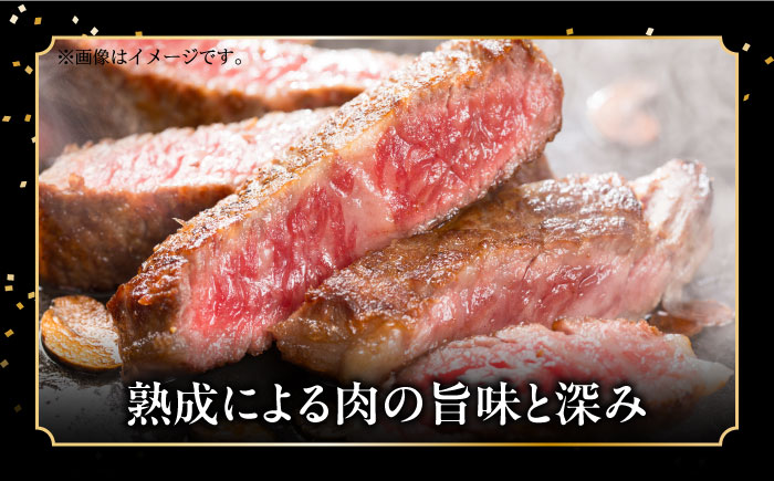 【内閣総理大臣賞受賞】長崎和牛 サーロインステーキ 約1kg / 冷凍 ステーキ肉 BBQ 焼肉 / 南島原市 / 島原雲仙農業協同組合 [SES002]