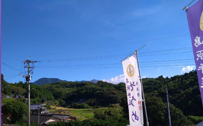 【島原 手延 そうめん】2年蔵出し そうめん 原城 5kg  / 南島原市 / 宮崎製麺所 [SDN004]