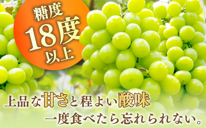 【2025年8月中旬〜発送】【数量限定】【糖度18度以上】シャインマスカット 3房 2kg以上 / ぶどう ブドウ 葡萄 マスカット しゃいんますかっと フルーツ 果物 / 南島原市 / ミナサポ [SCW072]