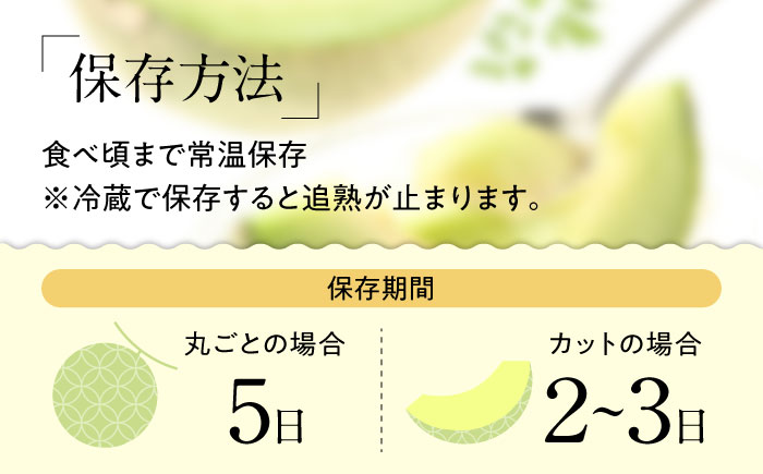 【2025年5月〜発送】【さわやかな味わい！】 タカミメロン 約4.5kg / メロン 南島原市 / 南島原果物屋 [SCV013]