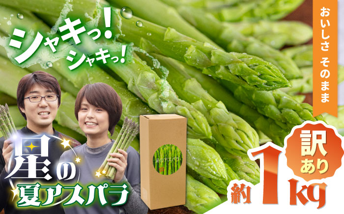 【訳あり】【星のアスパラ】グリーンアスパラガス 約1kg 【サイズ不揃い L～S】 / 訳アリ 規格外 産地直送 アスパラ あすぱら あすぱらがす 採れたて 新鮮 旬 産地直送 / 南島原市 / ほしのYA [SEY021]