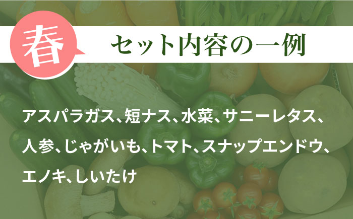 【6回定期便 偶数月コース】野菜定期便 キノコをセット 10品目以上  当日仕入れ当日発送！ / 定期便 野菜 春野菜 夏野菜 秋野菜 冬野菜 旬 きのこ キノコ 産地直送 / 南島原市 / 吉岡青果 [SCZ006]