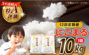 【12回定期便】長崎県産 精米 にこまる 10kg（5kg×2袋）総計120kg / 米 お米 こめ コメ 精米 / 南島原市 / 大松屋商店 [SDR016]