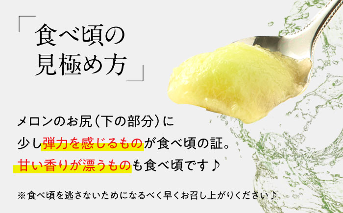 【2025年5月～発送】【さわやかな味わい!】訳あり タカミメロン 約4.5kg（傷もの）/ メロン めろん フルーツ 果物 / 南島原市 / 南島原果物屋 [SCV025]