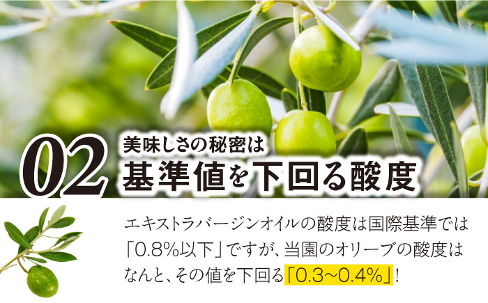 【国産 手摘み 100%】南島原産 オリーブオイル S島原 / オリーブ オイル 油 あぶら 食用油 / 南島原市 / ふるさと企画 [SBA001]