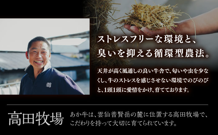 【希少】雲仙 あか牛 ハンバーグ 3個 (150g×3個) / 加熱済 国産 長崎和牛 牛 牛肉 加工品 冷凍 / 南島原市 / 株式会社高田牧場 [SGQ004]
