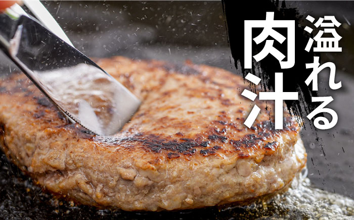 【長崎 じげもん 豚】はちみつ 味噌 ハンバーグ（10人前）/ はんばーぐ 小分け 冷凍 / 南島原市 / 溝田精肉店 [SBP001]