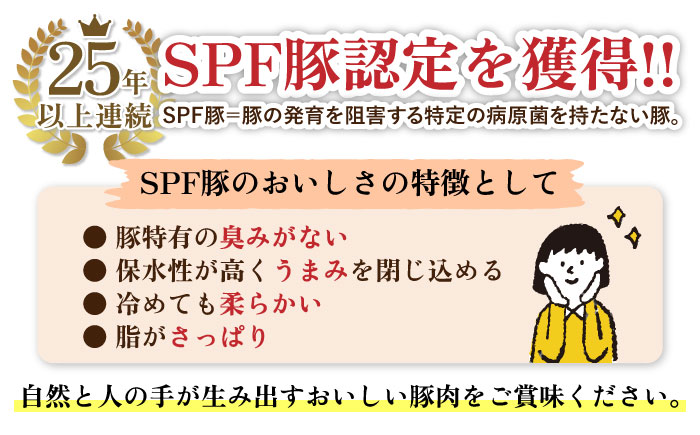 【3回定期便】SPF豚 やっちゃおいしか芳寿豚バラエティセット 計3000g / 豚肉 定期便 ほうじゅとん SPF豚 spfポーク 小分け バラ しゃぶしゃぶ / 南島原市 / 芳寿牧場 [SEI020]