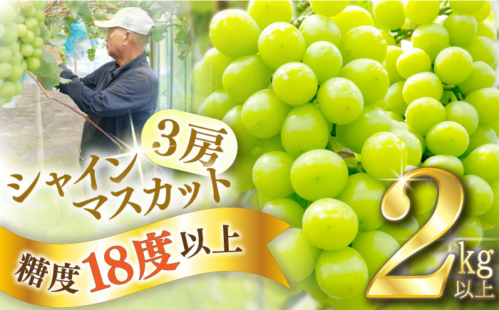 【2025年8月中旬〜発送】【数量限定】【糖度18度以上】シャインマスカット 3房 2kg以上 / ぶどう ブドウ 葡萄 マスカット しゃいんますかっと フルーツ 果物 / 南島原市 / ミナサポ [SCW072]