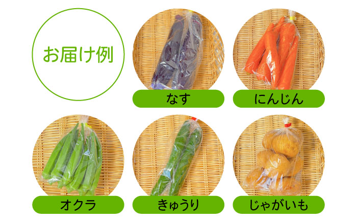 【6回定期便】直売所より発送！季節の野菜セット 7〜10品目 / 野菜定期便 やさい定期便 野菜 やさい 旬 詰め合わせ / 南島原市 / ながさき南部生産組合 [SBW004]