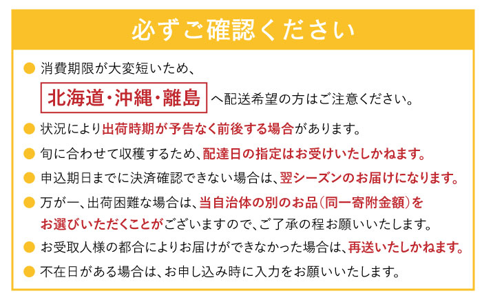 訳あり メロン イエローキング 3箱 / メロン めろん フルーツ 果物 / 南島原市 / 南島原果物屋 [SCV044]