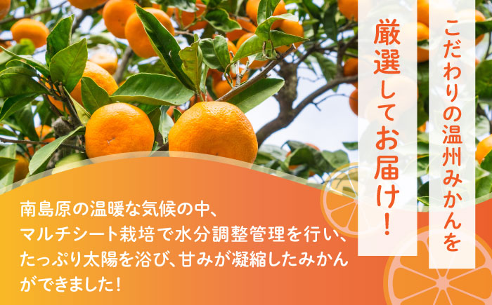 【高糖度】温州みかん 約3kg / みかん ミカン 蜜柑 果物 フルーツ / 南島原市 / 南島原果物屋 [SCV021]