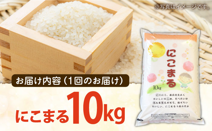 【 3回定期便 】長崎県産 精米 にこまる 10kg 総計 30kg / 南島原市 / 大松屋商店 [SDR006]