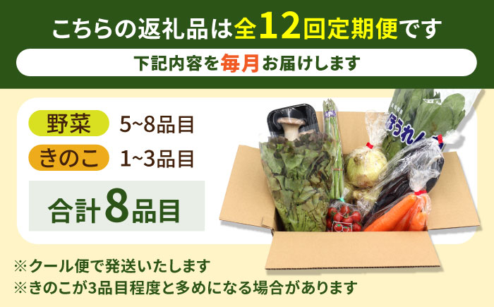 【12回定期便】お試し野菜セット 8品目 詰め合わせ / 野菜 やさい ヤサイ 旬 新鮮 / 南島原市 / 吉岡青果 [SCZ030]