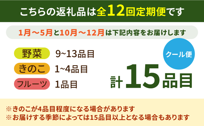 【12回定期便】豪華！野菜 セット 15品目以上 / 野菜 定期便 やさい 定期便 野菜セット やさいセット 春野菜 夏野菜 秋野菜 冬野菜 旬 / 南島原市 / 吉岡青果 [SCZ019]
