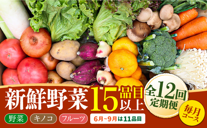 【12回定期便】豪華！野菜 セット 15品目以上 / 野菜 定期便 やさい 定期便 野菜セット やさいセット 春野菜 夏野菜 秋野菜 冬野菜 旬 / 南島原市 / 吉岡青果 [SCZ019]