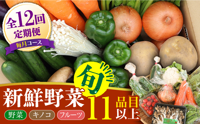【12回定期便】野菜 キノコ 果物 11品目 詰め合わせ お届け 詰め合わせ 12回  / 定期便 野菜 やさい 春野菜 夏野菜 秋野菜 冬野菜 旬 / 南島原市 / 吉岡青果 [SCZ007]
