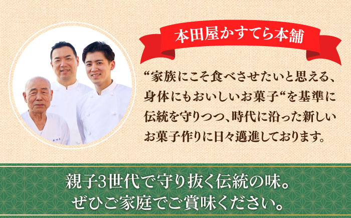 【2025年10月〜発送】【本場ドイツの規定を満たした】クラシカル シュトーレン 2本（約1000g）/ シュトレン しゅとーれん クリスマス お土産 お菓子 洋菓子 ケーキ ギフト プレゼント 贈答 / 南島原市 / 本田屋かすてら本舗 [SAW042]