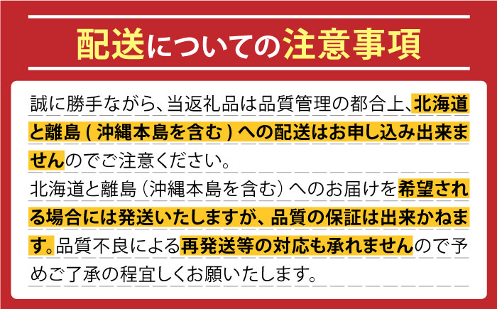 【2025年5月下旬〜発送】【先行予約！】春の万能野菜セット 約5kg / じゃがいも ジャガイモ たまねぎ 玉ねぎ タマネギ にんじん 人参  旬野菜 詰め合わせ / 南島原市 / 長崎県農産品流通合同会社 [SCB064]