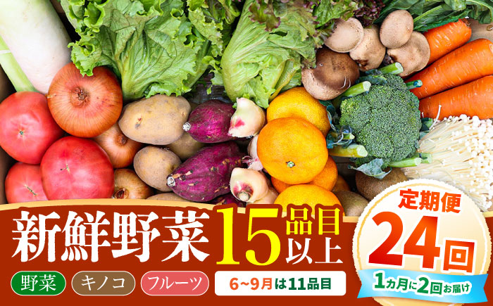 【毎月24回コース】豪華！野菜 セット 15品目以上 24回 定期便  / 野菜 フルーツ きのこ 詰め合わせ 南島原市 / 吉岡青果 [SCZ003]