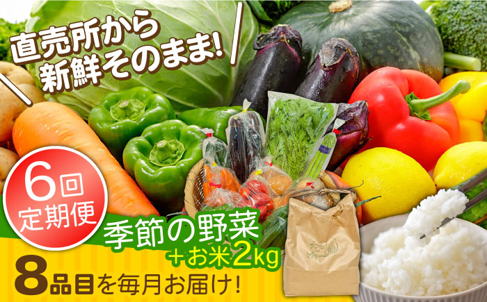 【6回定期便】直売所より発送！お米と季節の野菜セット 8品目 / 米 こめ 白米 野菜定期便 やさい定期便 野菜 やさい 旬 詰め合わせ / 南島原市 / ながさき南部生産組合 [SBW014]