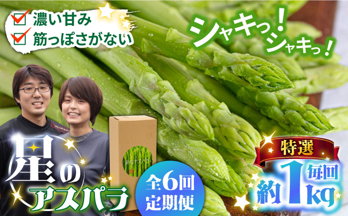 【6回定期便】【星のアスパラ】春＆夏 の グリーン アスパラガス 約1kg / アスパラ 春野菜 野菜 / 南島原市 / ほしのYA [SEY011]