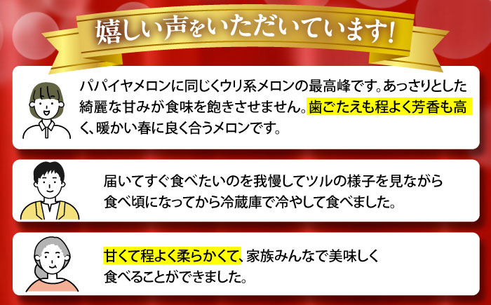 【2026年3月下旬〜発送】しらかばメロン 5玉〜8玉 約5kg / メロン めろん 果物 フルーツ / 南島原市 / うえだメロン園 [SAD009]