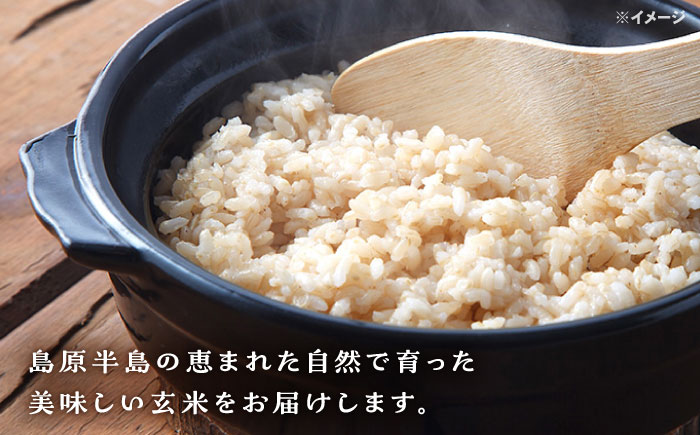 【数量限定】ひのひかり 玄米 30kg 1袋 / 米 こめ コメ げんまい / 南島原市 / ながさき南部生産組合 [SBW027]