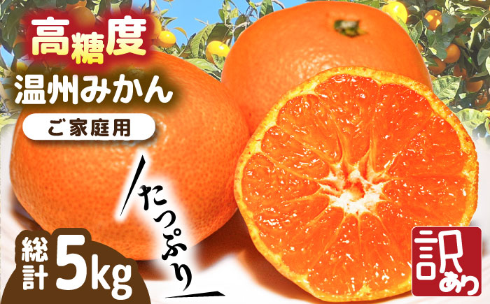 【2024年11月下旬〜発送】【高糖度】 温州みかん 約5kg（傷もの） / みかん 訳あり ミカン 蜜柑 長崎県産みかん 糖度 果物 くだもの フルーツ ふるーつ 旬 家庭用 5kg / 南島原市 / 南島原果物屋 [SCV014]