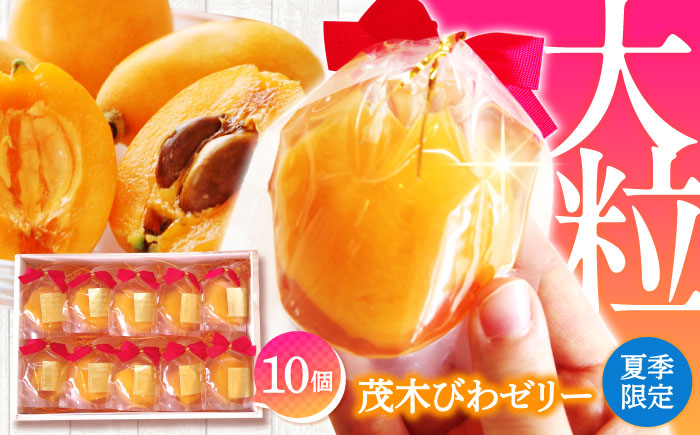 【2026年5月上旬〜発送】【夏季限定】茂木びわ ゼリー 10個入 / びわ ビワ ゼリー フルーツ 果物 ギフト 贈答 お中元 / 南島原市 / 本田屋かすてら本舗 [SAW040]