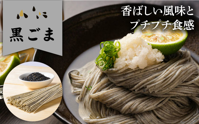 【6回定期便】五彩麺 セット 19束 / そうめん 素麺 黒ごま 梅 うに よもぎ / 麺 乾麺 食べ比べ 詰め合わせ カラフル / 南島原市 / のうち製麺 [SAF031]