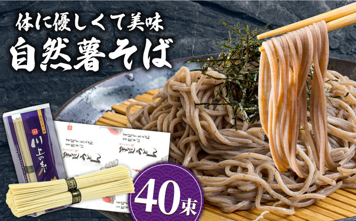 手延べ 自然薯 そば 2kg（250g×8袋） / そば 蕎麦 麺 / 南島原市 / 川上製麺 [SCM068]