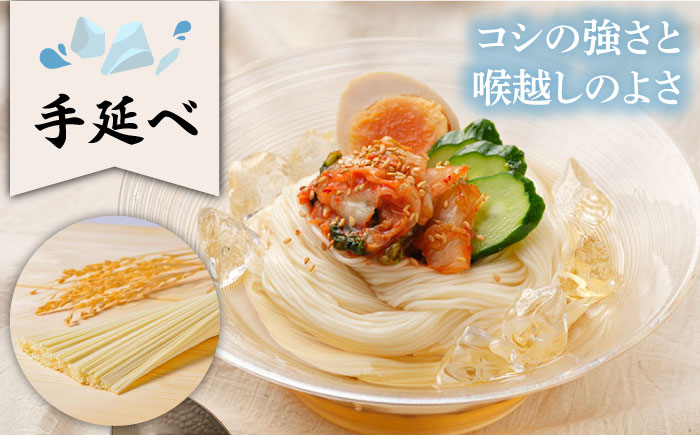 五彩麺 セット 19束 / そうめん 素麺 黒ごま 梅 うに よもぎ / 麺 乾麺 食べ比べ 詰め合わせ カラフル / 南島原市 / のうち製麺 [SAF020]