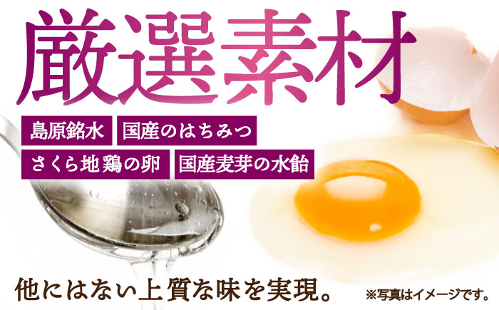 長崎 かすてら 五三焼 ハニー 500g×2本 / カステラ かすてら 長崎かすてら 長崎カステラ お菓子 スイーツ ギフト / 南島原市 / 川崎 [SBI011]
