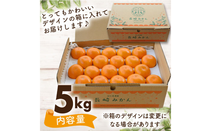 こだわり の 温州みかん 約 5kg / みかん フルーツ 柑橘 蜜柑 ミカン / 南島原市 / 長崎県農産品流通合同会社 [SCB036]