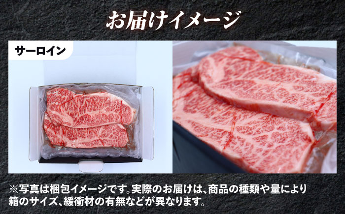 【12回定期便】希少部位 長崎和牛 定期便 プレミアムコース 計10kg お楽しみ 牛肉 バラエティ定期便 国産 / サーロイン もも カルビ ロース 焼き肉 すき焼き リブロースステーキ しゃぶしゃぶ 牛ミンチ ヒレ リブロース トモサンカク / 南島原市 / 水田精肉店 [SDZ044]