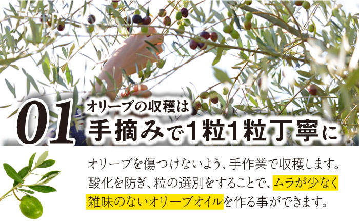 【国産 手摘み 100%】南島原産 オリーブオイル S島原 2本 セット / オリーブ オイル 油 あぶら 食用油 / 南島原市 / ふるさと企画 [SBA002]