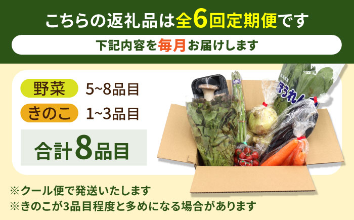 【6回定期便】お試し野菜セット 8品目 詰め合わせ / 野菜 やさい ヤサイ 旬 新鮮 / 南島原市 / 吉岡青果 [SCZ029]