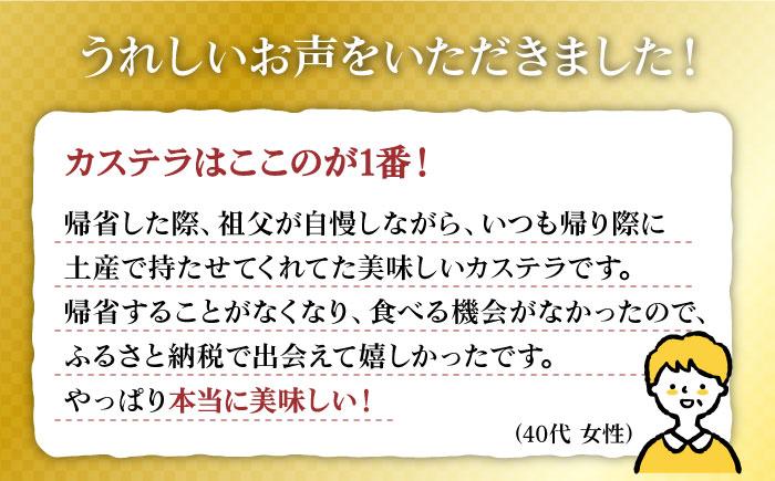 【6回 定期便 】特製 長崎 カステラ 3斤（約700g×3本） と 切れはし（約350g） / 南島原市 / 本田屋かすてら本舗 [SAW008]