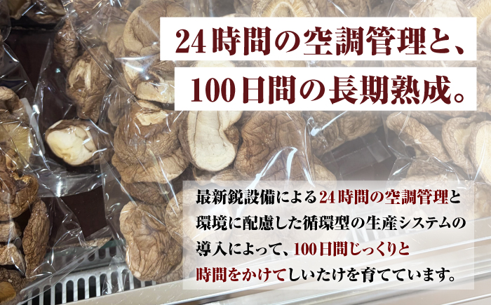 乾燥しいたけ 80g 2袋 計160g  / きのこ キノコ 茸 シイタケ  / 南島原市 / サンエスファーム [SBX004]