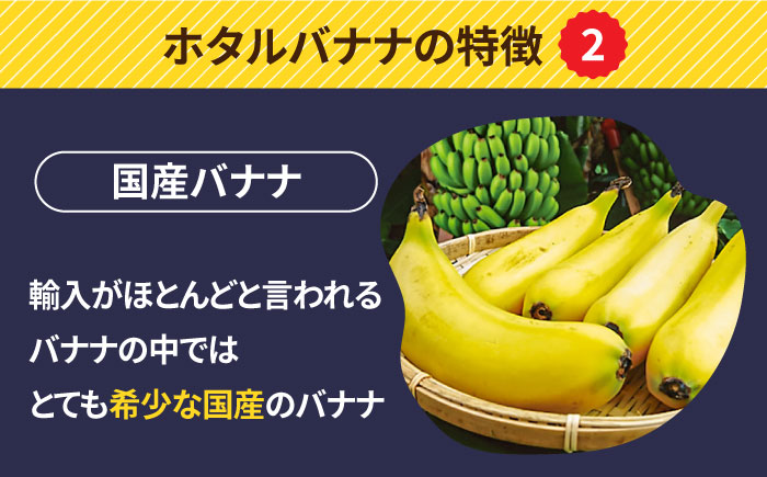 【とても希少な国産バナナをあなたへ！】hotaru バナナ 2本 [SFA001]