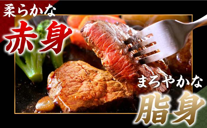 【12回定期便】シャトーブリアン 長崎和牛 300g（100g×3）/ A4 A5 ヒレ ステーキ 赤身 フィレ しゃとーぶりあん 国産 和牛 牛肉 / 南島原市 / 肉のくまもと屋株式会社 [SHD036]
