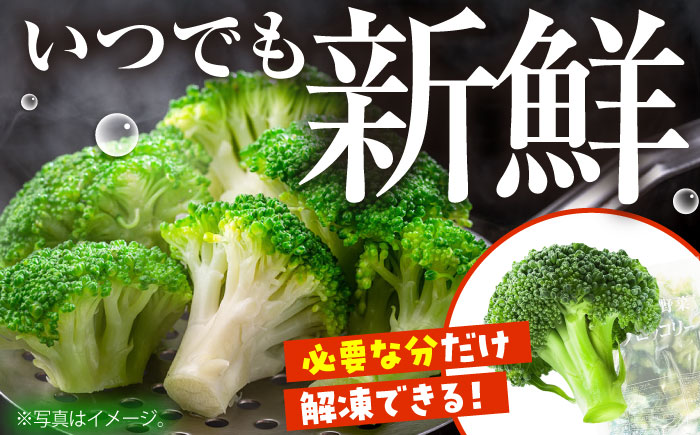 たっぷり 冷凍 ブロッコリー 3kg（1kg × 3袋） / ブロッコリー ぶろっこりー 野菜 やさい 小分け 冷凍 / 南島原市 / 池田海陸物産 [SEW007]