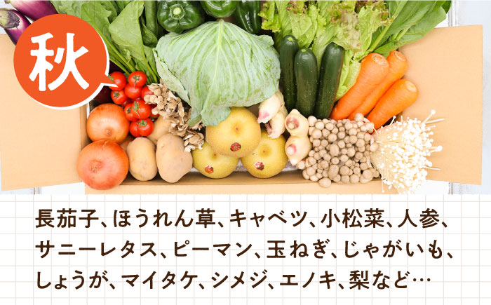 【毎月コース】豪華！野菜 果物 きのこセット 15品目以上 3回定期便 / 野菜定期便 やさい定期便 フルーツ 果物 キノコ 詰め合わせ / 南島原市 / 吉岡青果 [SCZ023]